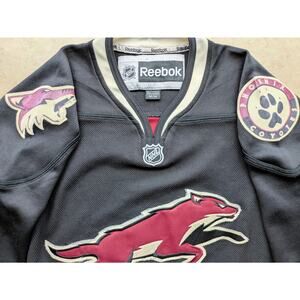 Arizona Coyotes 2000s Reebok Premier jersey Leap M 3rd Alt black Phoenix NHL vtg